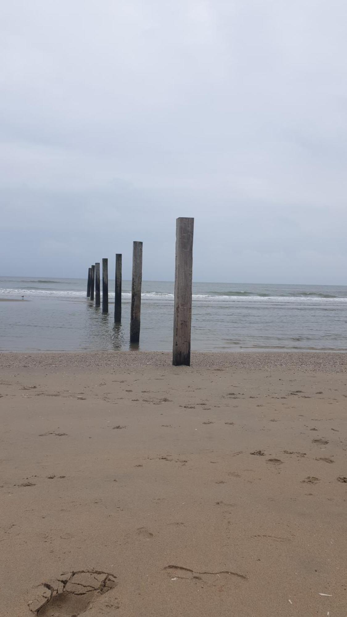 Rembrandts Beach View زاندفورت المظهر الخارجي الصورة